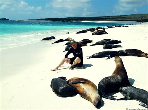 Galapagos Magic Lodge: Where Dreams Come True